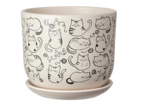 ЦБ-00145977_042025151231