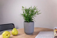 ЦБ-00163985_082025142747