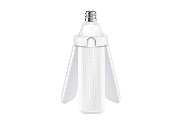 ЦБ-00142004_082023114334