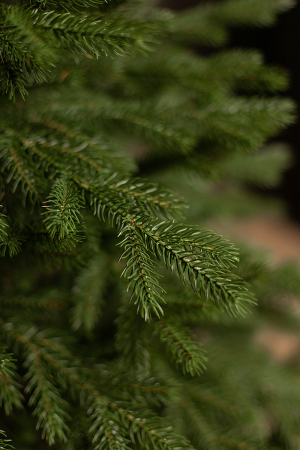 ЦБ-00157439_102025153735