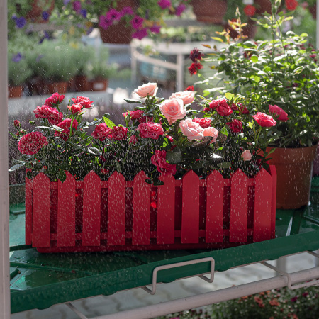 ЦБ-00107891---8_24022021121541