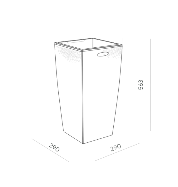 ЦБ-00152193_022024110619