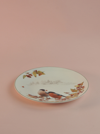 ЦБ-00159142_112025143713