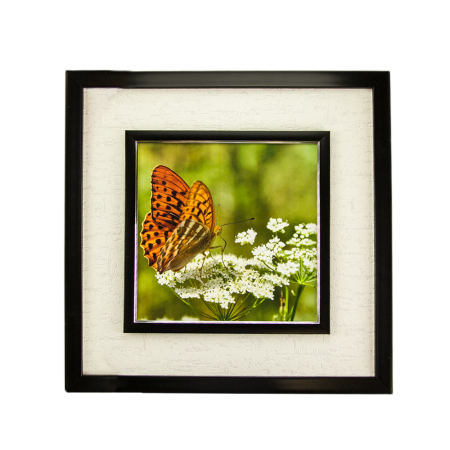 ЦБ-00059856_21062019103518