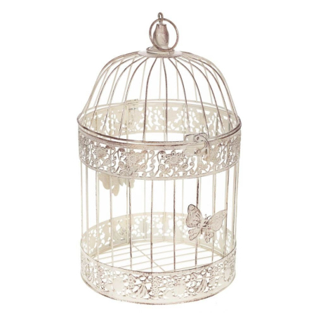 ЦБ-00078511_26082019103125