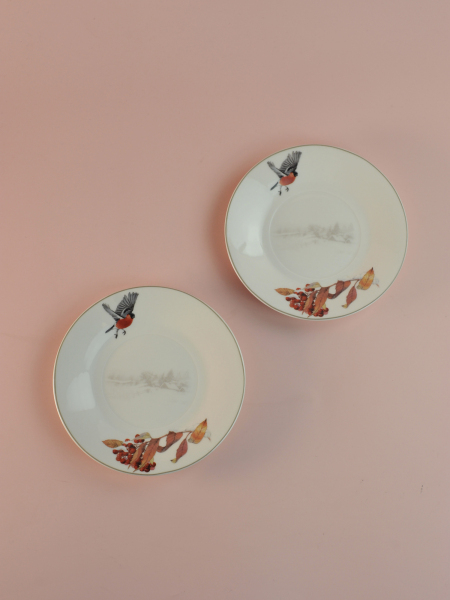 ЦБ-00171574_112025113906