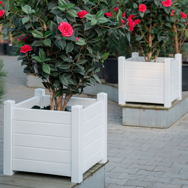 ЦБ-00107886---3_24022021121530