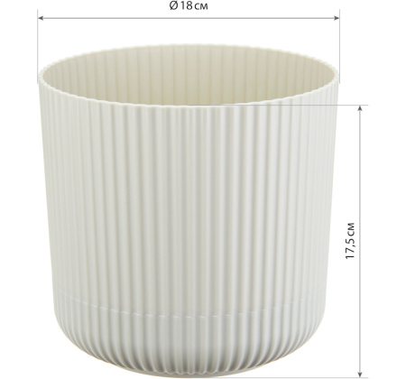 ЦБ-00121382_082024131100