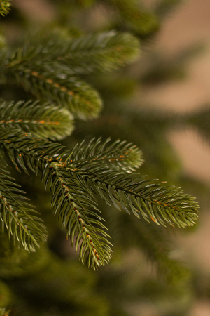 ЦБ-00157445_102025154410