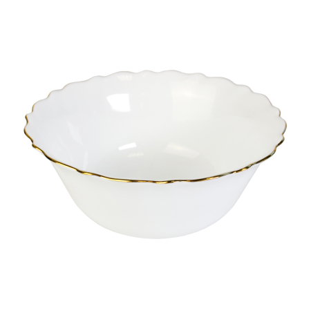 П4339_19022025153850