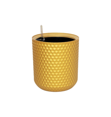 ЦБ-00152161_022024105814