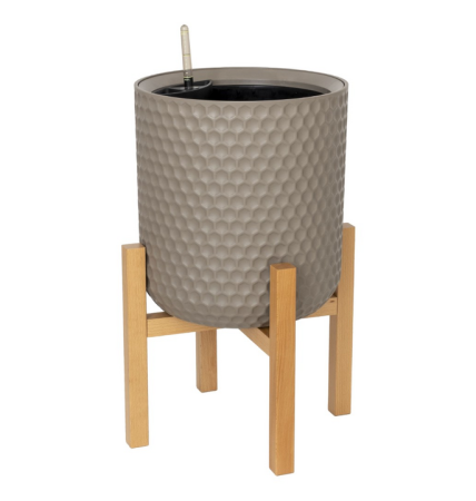 ЦБ-00152157_022024102851