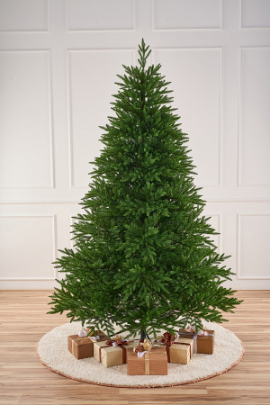 ЦБ-00157375_102025141900