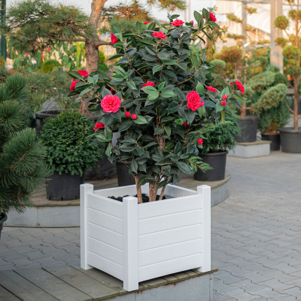 ЦБ-00107886---2_24022021121529