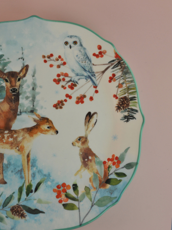 ЦБ-00117576_112025105004