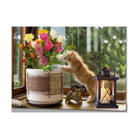 ЦБ-00082946_28052019162446