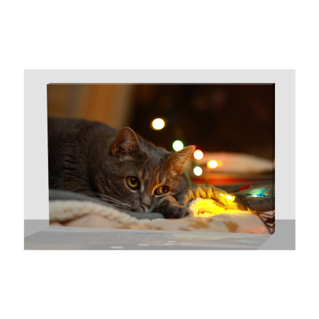 ЦБ-00082943_28052019162444