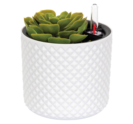 ЦБ-00151265_022024140921