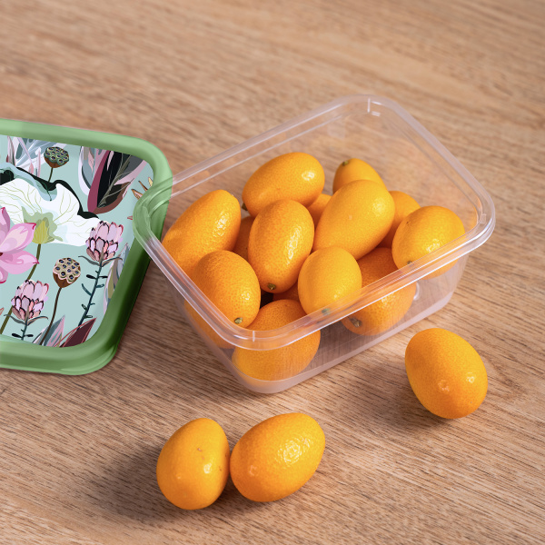 ЦБ-00137571_062024163300