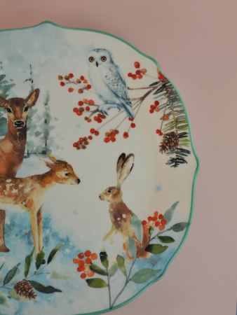 ЦБ-00117576_112025105004