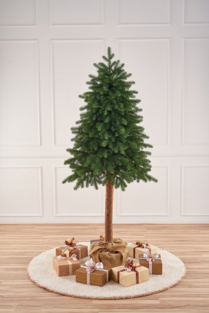 ЦБ-00157356_102025145847