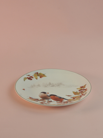 ЦБ-00159142_112025143713