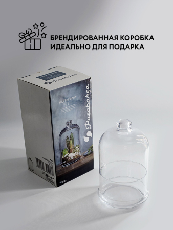 ЦБ-00147451_092025171231