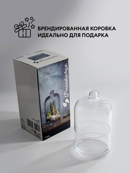 ЦБ-00147451_092025171231