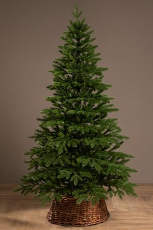 ЦБ-00170490_102025143020