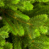 ЦБ-00100615_102020151259