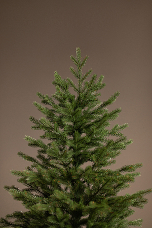 ЦБ-00157439_102025153718