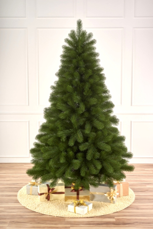 ЦБ-00157372_102025145006