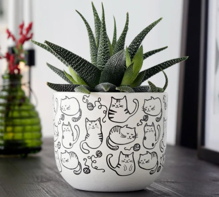 ЦБ-00145977_042025151248