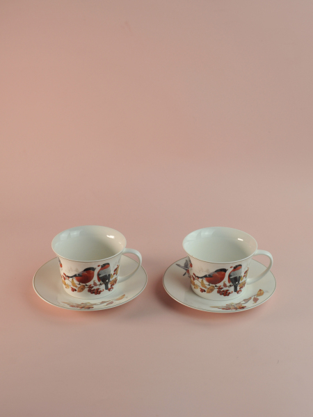 ЦБ-00171574_112025113906