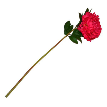 Л3426_2603201993457