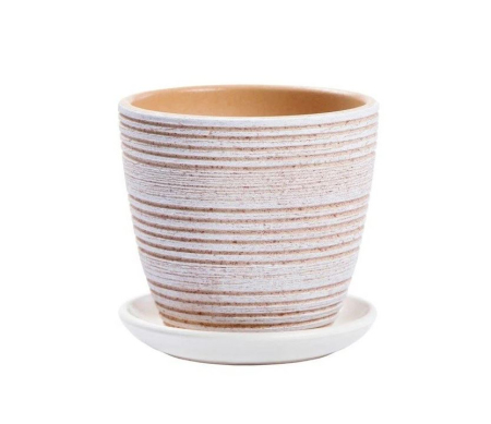 ЦБ-00143076_082023161718