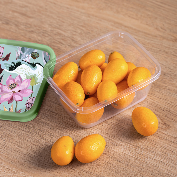 ЦБ-00137572_062024164458 ЦБ-00137572_062024164458