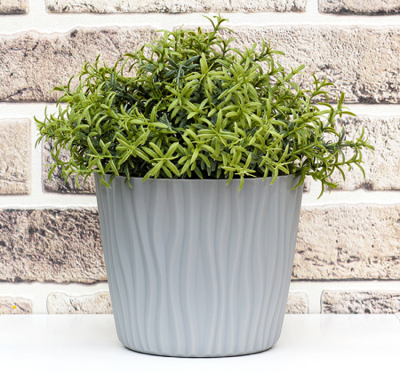 ЦБ-00146291_082024173454