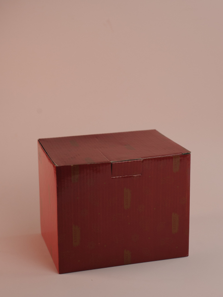 ЦБ-00150064_112025200729