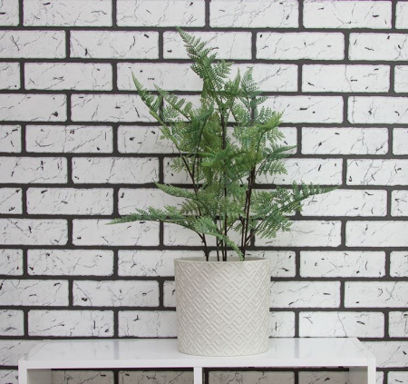 ЦБ-00144676_092023111848