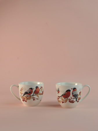 ЦБ-00171561_112025120413