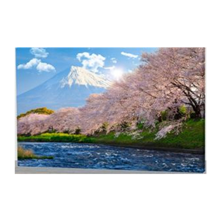 ЦБ-00082947_28052019162447