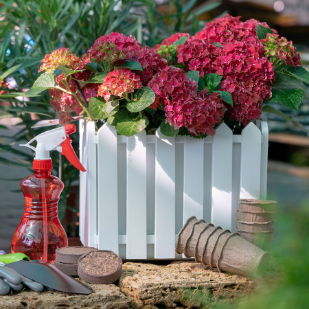 ЦБ-00107889---4_24022021121534 ЦБ-00107889---4_24022021121534