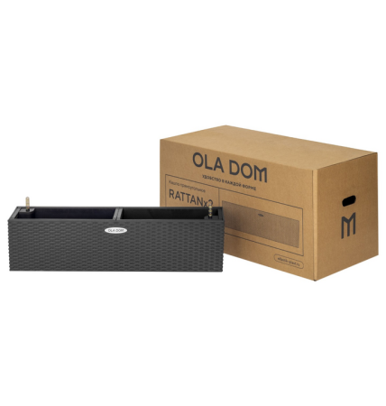 ЦБ-00147346_022024101203