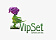 VipSet