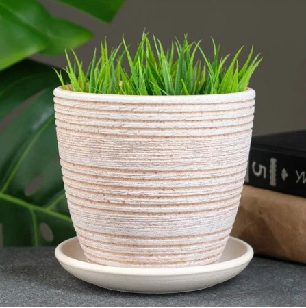 ЦБ-00143076_082023161713