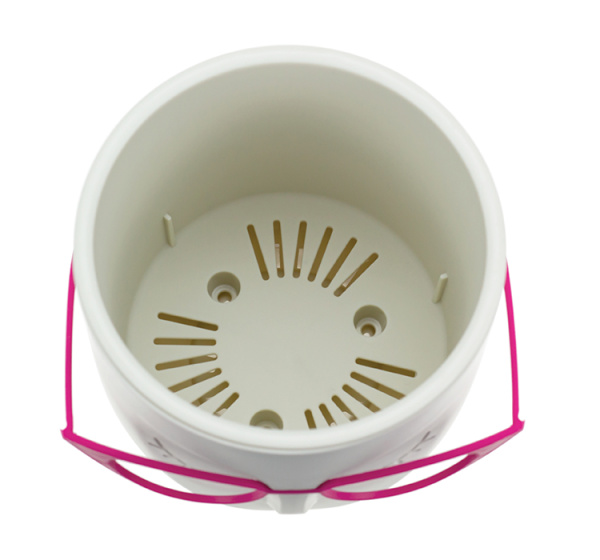 ЦБ-00148019_082024173312