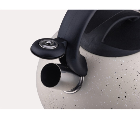 Л6451_2_25012024160621