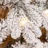 ЦБ-00100623-DSC_2220_02102020161935
