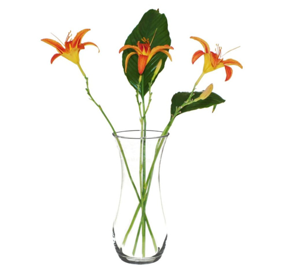 ЦБ-00016106_012023101245